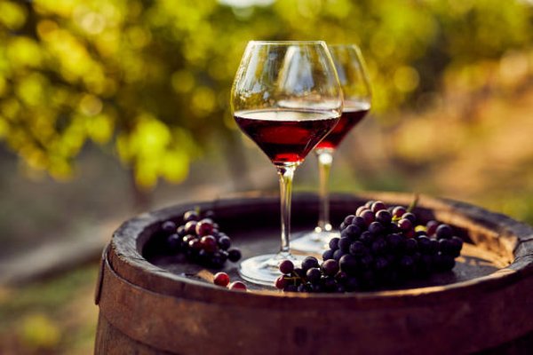 Vin de bourgogne : 89 vins exceptionnels à découvrir